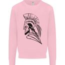 Spartan Helmet Training Bodybuilding MMA Mens Sweatshirt Jumper Light Pink