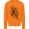 Spartan Helmet Training Bodybuilding MMA Mens Sweatshirt Jumper Orange