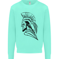 Spartan Helmet Training Bodybuilding MMA Mens Sweatshirt Jumper Peppermint