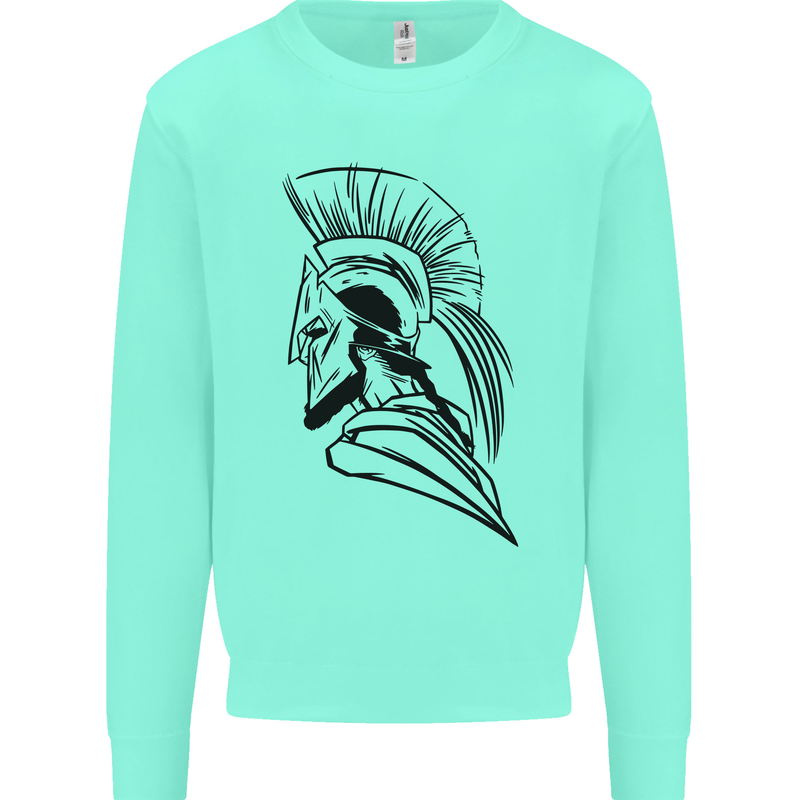 Spartan Helmet Training Bodybuilding MMA Mens Sweatshirt Jumper Peppermint