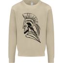 Spartan Helmet Training Bodybuilding MMA Mens Sweatshirt Jumper Sand