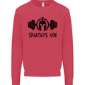 Spartans Gym Mens Sweatshirt Jumper Heliconia