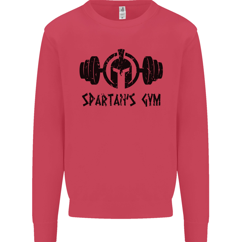 Spartans Gym Mens Sweatshirt Jumper Heliconia