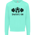 Spartans Gym Mens Sweatshirt Jumper Peppermint