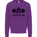 Spartans Gym Mens Sweatshirt Jumper Purple