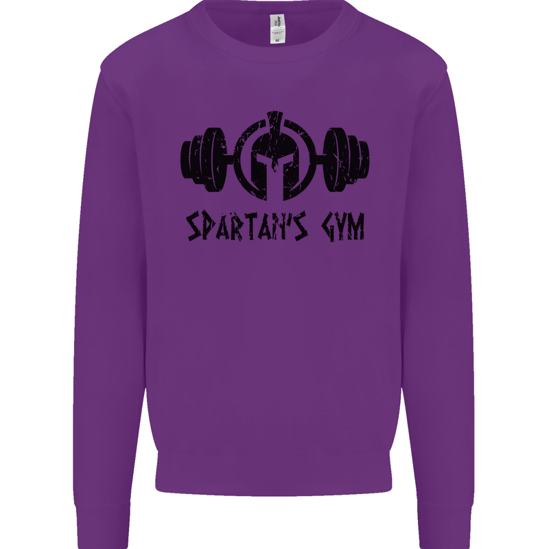 Spartans Gym Mens Sweatshirt Jumper Purple