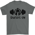 Spartans Gym Mens T-Shirt Cotton Gildan Charcoal