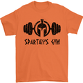Spartans Gym Mens T-Shirt Cotton Gildan Orange
