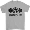 Spartans Gym Mens T-Shirt Cotton Gildan Sports Grey