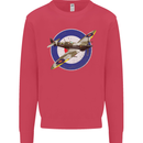 Spitfire MOD RAF WWII Fighter Plane British Kids Sweatshirt Jumper Heliconia