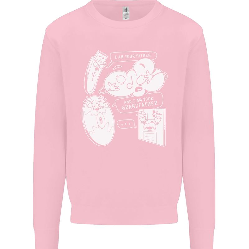 Storage Evolution HD Drive USB Stick CD Kids Sweatshirt Jumper Light Pink