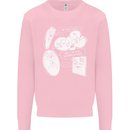 Storage Evolution HD Drive USB Stick CD Mens Sweatshirt Jumper Light Pink
