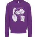 Storage Evolution HD Drive USB Stick CD Mens Sweatshirt Jumper Purple