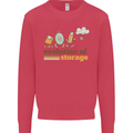 Storage Evolution Retro HD Drive USB Stick CD Kids Sweatshirt Jumper Heliconia
