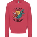 T-Rex Cooler than Sleighs Funny Christmas Kids Sweatshirt Jumper Heliconia