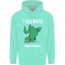 T-Rex Hates Handstands Gymnastics Dinosaur Childrens Kids Hoodie Peppermint