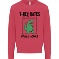 T-Rex Hates Pull Ups Funny Gym Dinosaurs Kids Sweatshirt Jumper Heliconia