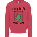 T-Rex Hates Pull Ups Funny Gym Dinosaurs Kids Sweatshirt Jumper Heliconia