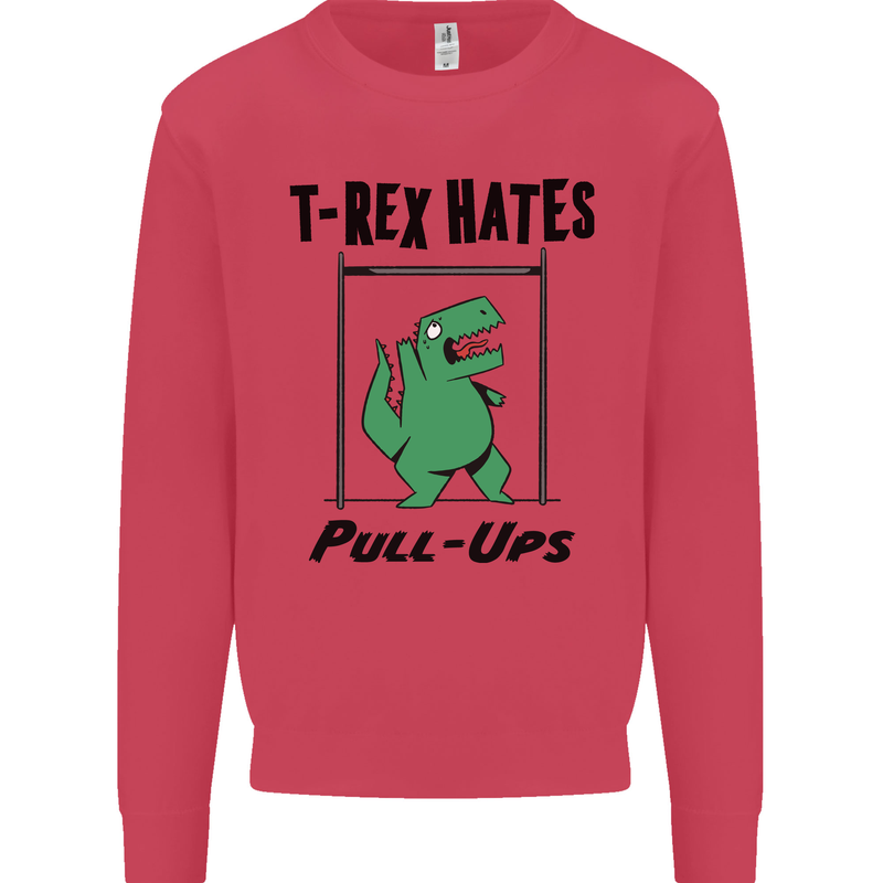 T-Rex Hates Pull Ups Funny Gym Dinosaurs Kids Sweatshirt Jumper Heliconia