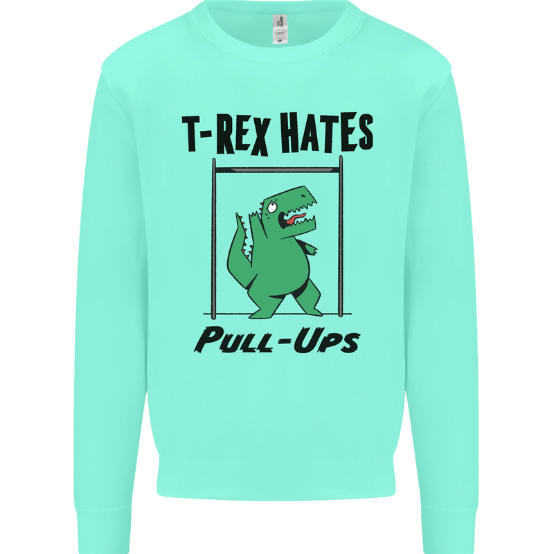 T-Rex Hates Pull Ups Funny Gym Dinosaurs Kids Sweatshirt Jumper Peppermint