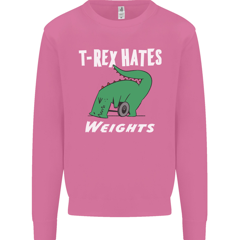 T-Rex Hates Weights Funny Gym Training Top Mens Sweatshirt Jumper Azalea