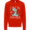 T-Rex I Love You Dinosaur Valentines Day Kids Sweatshirt Jumper Bright Red