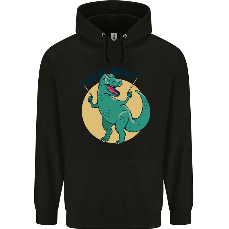 T-Rex What Now Funny Dinosaur Childrens Kids Hoodie Black