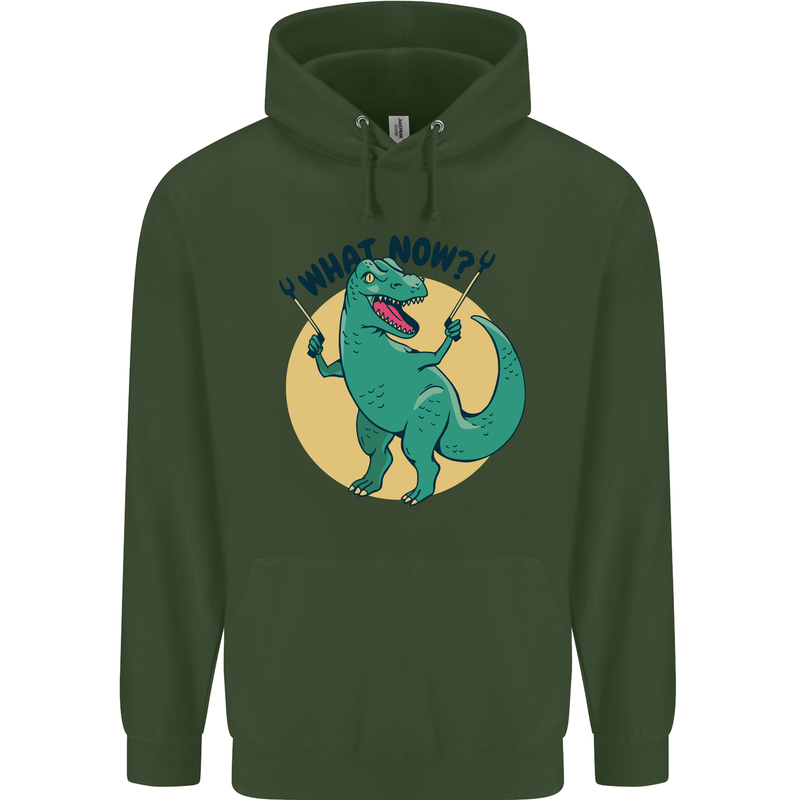 T-Rex What Now Funny Dinosaur Childrens Kids Hoodie Forest Green