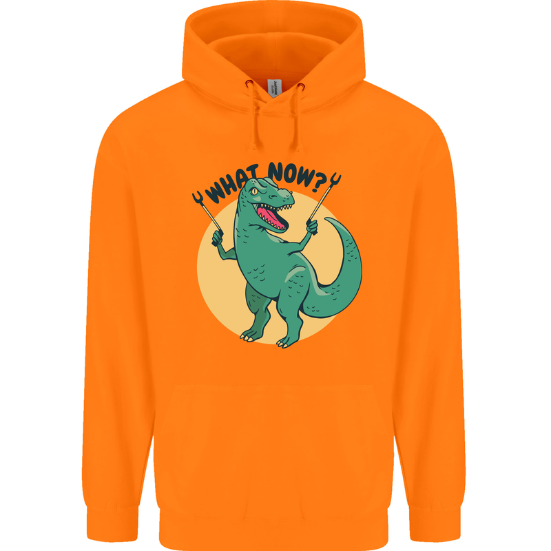 T-Rex What Now Funny Dinosaur Childrens Kids Hoodie Orange