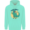 T-Rex What Now Funny Dinosaur Childrens Kids Hoodie Peppermint