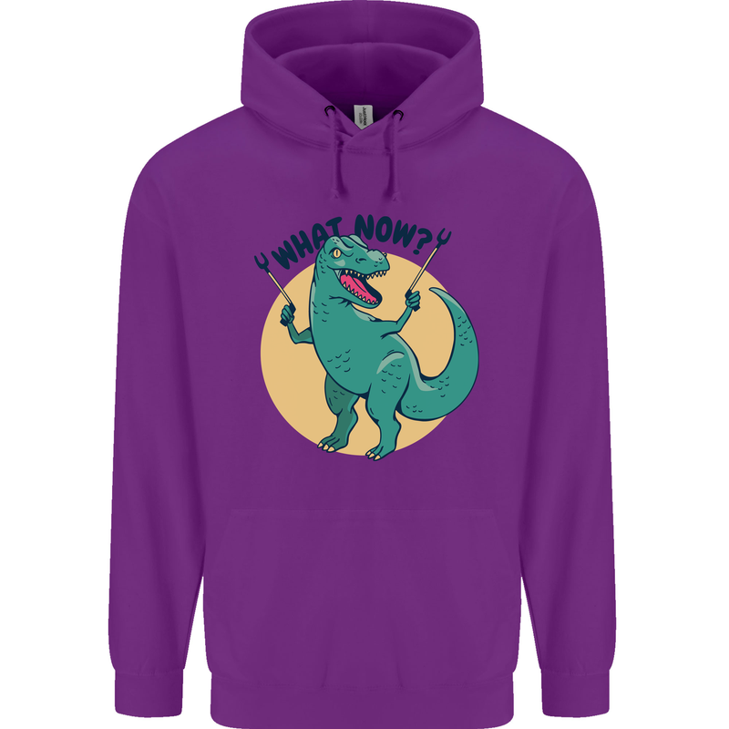 T-Rex What Now Funny Dinosaur Childrens Kids Hoodie Purple
