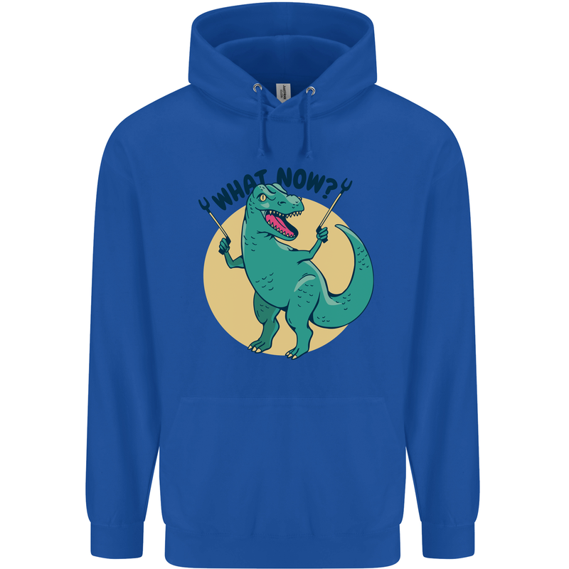 T-Rex What Now Funny Dinosaur Childrens Kids Hoodie Royal Blue