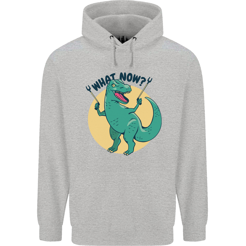 T-Rex What Now Funny Dinosaur Childrens Kids Hoodie Sports Grey