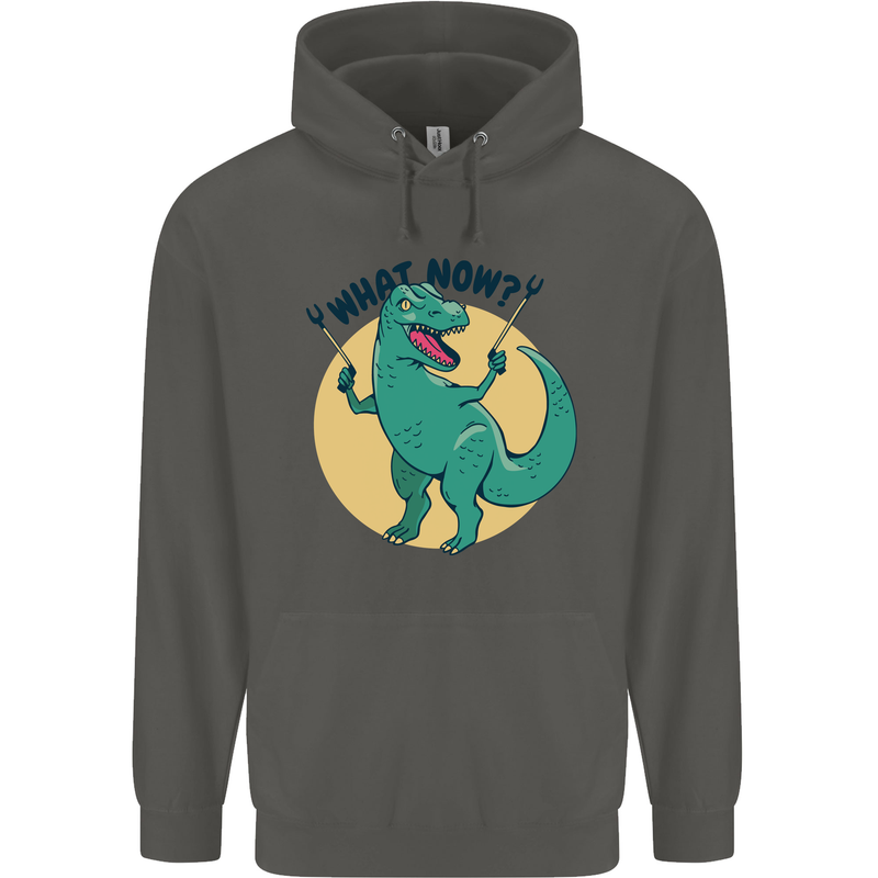 T-Rex What Now Funny Dinosaur Childrens Kids Hoodie Storm Grey