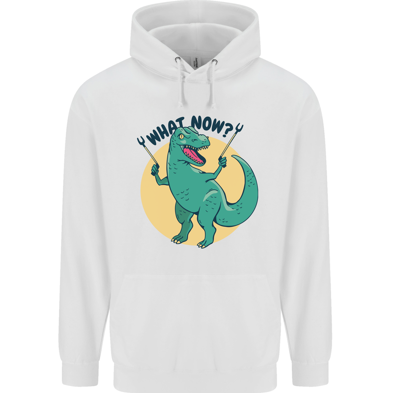T-Rex What Now Funny Dinosaur Childrens Kids Hoodie White