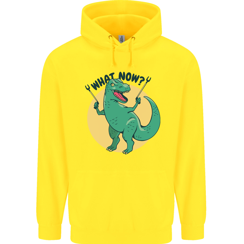 T-Rex What Now Funny Dinosaur Childrens Kids Hoodie Yellow