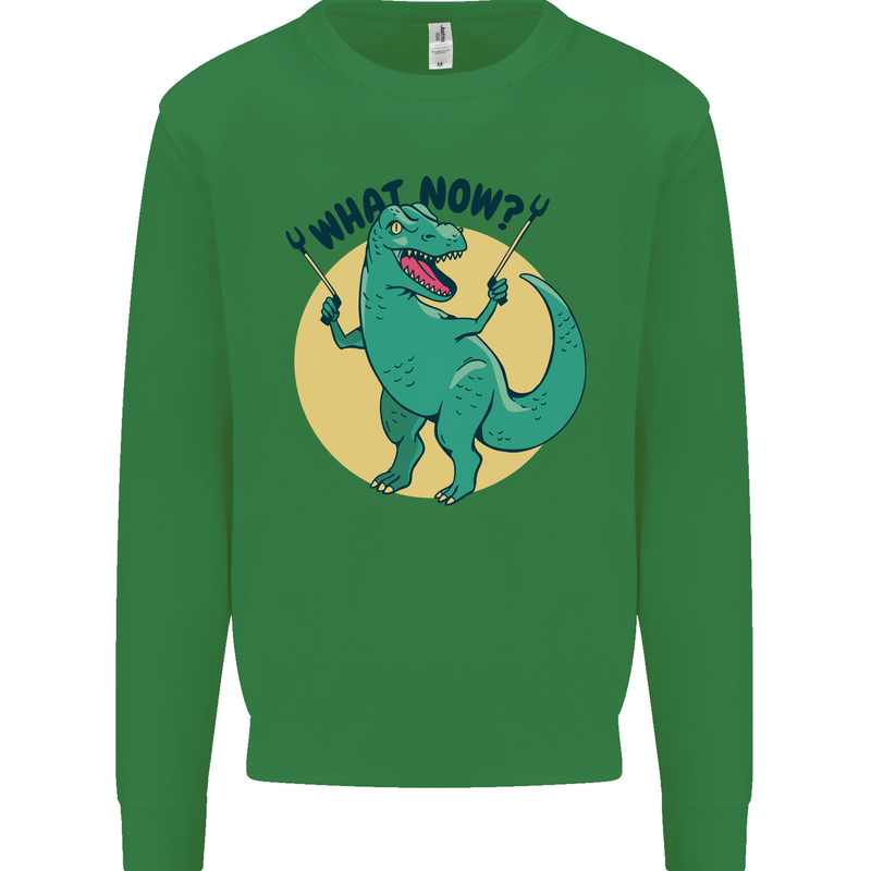 T-Rex What Now Funny Dinosaur Kids Sweatshirt Jumper Irish Green