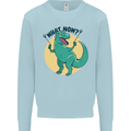 T-Rex What Now Funny Dinosaur Kids Sweatshirt Jumper Light Blue