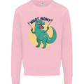 T-Rex What Now Funny Dinosaur Kids Sweatshirt Jumper Light Pink