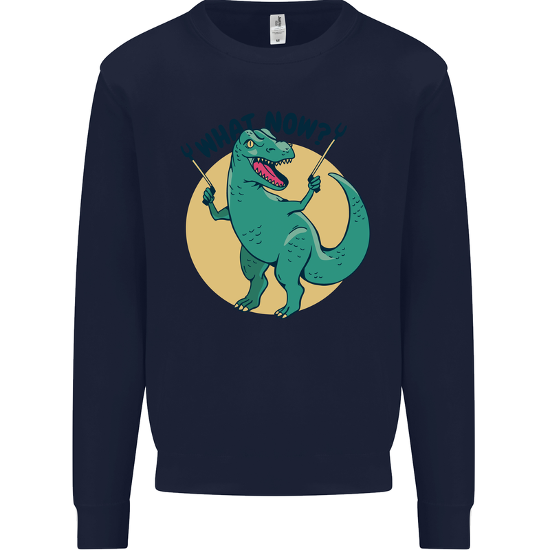 T-Rex What Now Funny Dinosaur Kids Sweatshirt Jumper Navy Blue