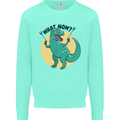T-Rex What Now Funny Dinosaur Kids Sweatshirt Jumper Peppermint