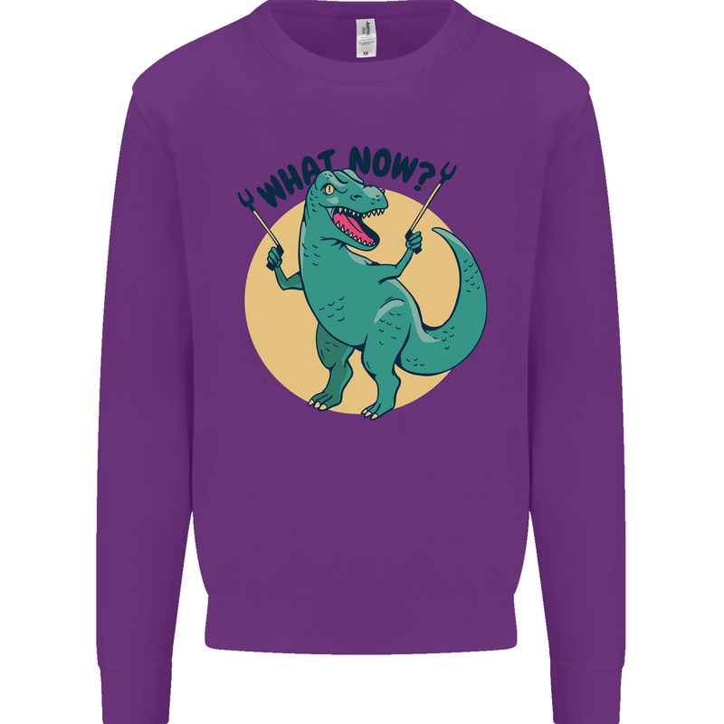 T-Rex What Now Funny Dinosaur Kids Sweatshirt Jumper Purple
