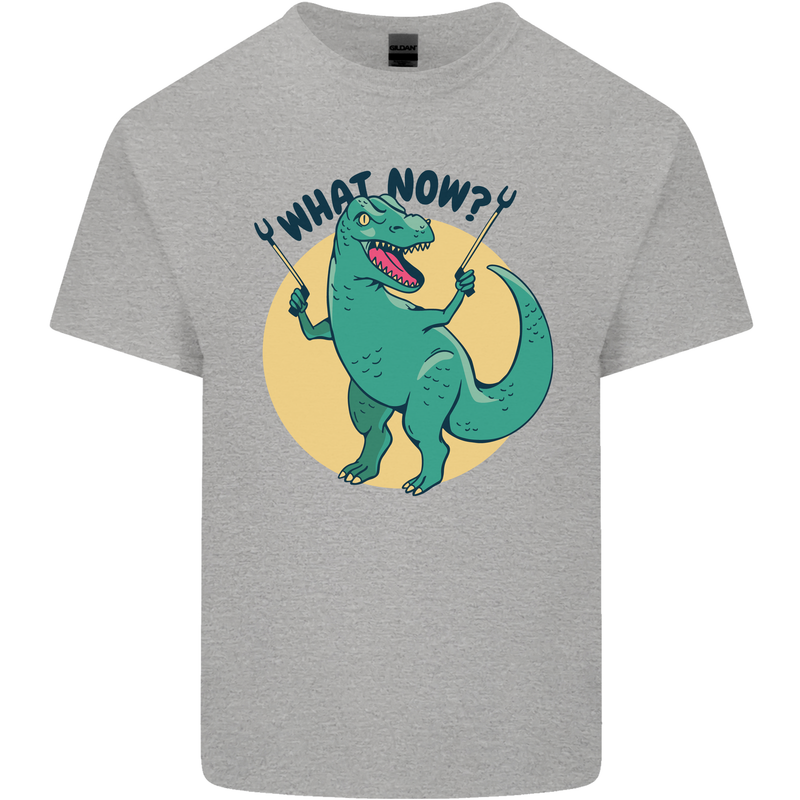 T-Rex What Now Funny Dinosaur Kids T-Shirt Childrens Sports Grey