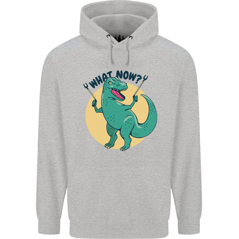 T-Rex What Now Funny Dinosaur Mens 80% Cotton Hoodie Sports Grey