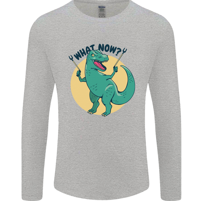 T-Rex What Now Funny Dinosaur Mens Long Sleeve T-Shirt Sports Grey