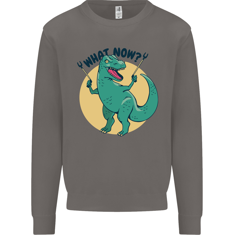 T-Rex What Now Funny Dinosaur Mens Sweatshirt Jumper Charcoal