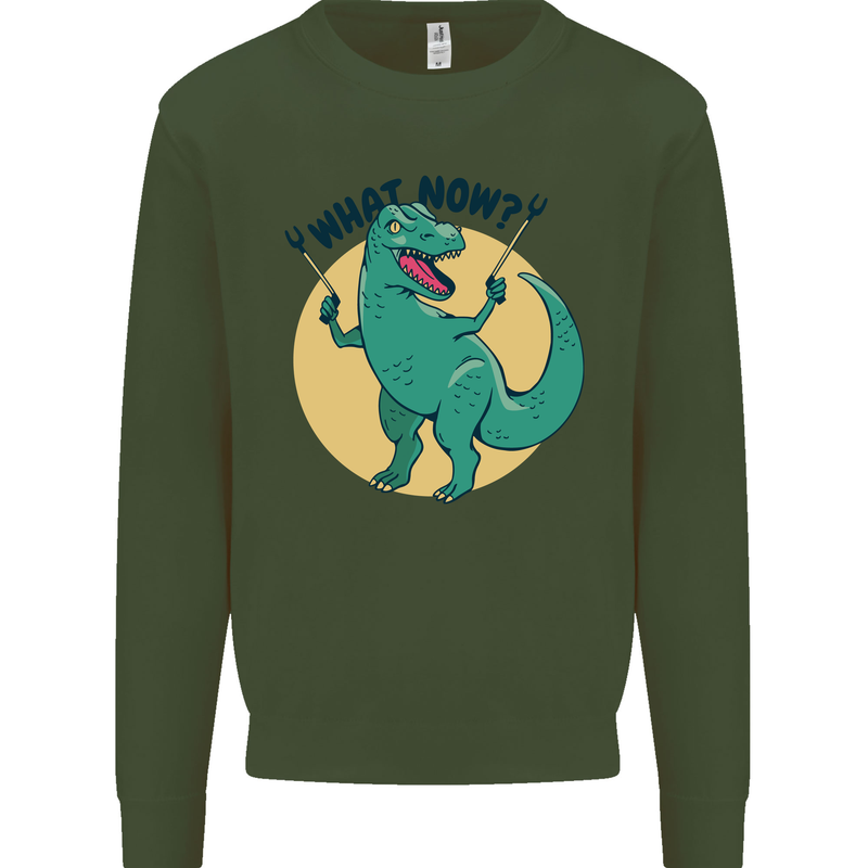 T-Rex What Now Funny Dinosaur Mens Sweatshirt Jumper Forest Green