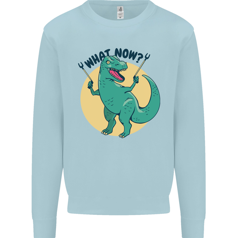 T-Rex What Now Funny Dinosaur Mens Sweatshirt Jumper Light Blue