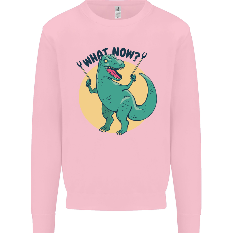 T-Rex What Now Funny Dinosaur Mens Sweatshirt Jumper Light Pink