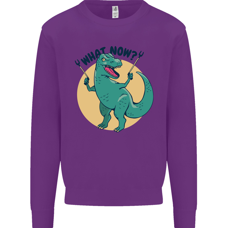 T-Rex What Now Funny Dinosaur Mens Sweatshirt Jumper Purple